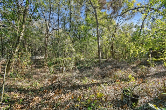 view of landscape