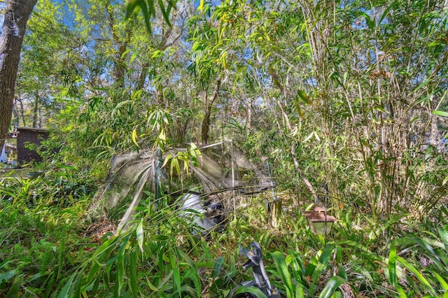 15577 Little Ranch Rd, Spring Hill, FL 34610 - view of local wilderness