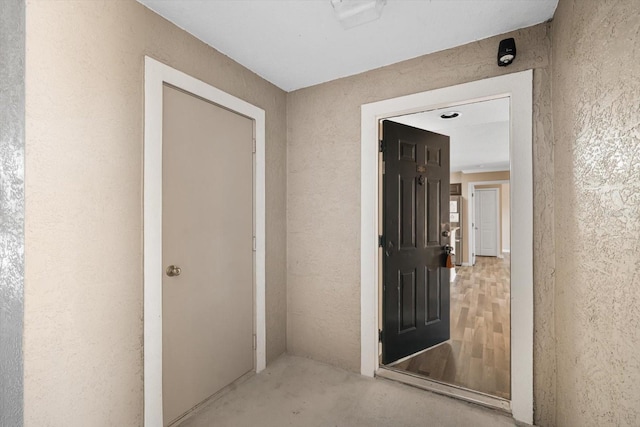 18106 Peregrines Perch Pl Unit 5204, Lutz, FL 33558 - property entrance with stucco siding