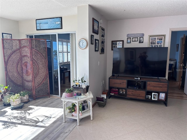 living room with a textured ceiling