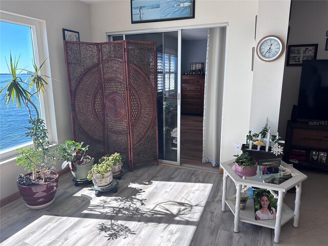 6020 Shore Blvd S Unit 301, Gulfport, FL 33707 - photo 14