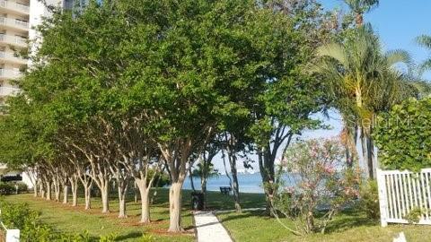 6020 Shore Blvd S Unit 301, Gulfport, FL 33707 - photo 61