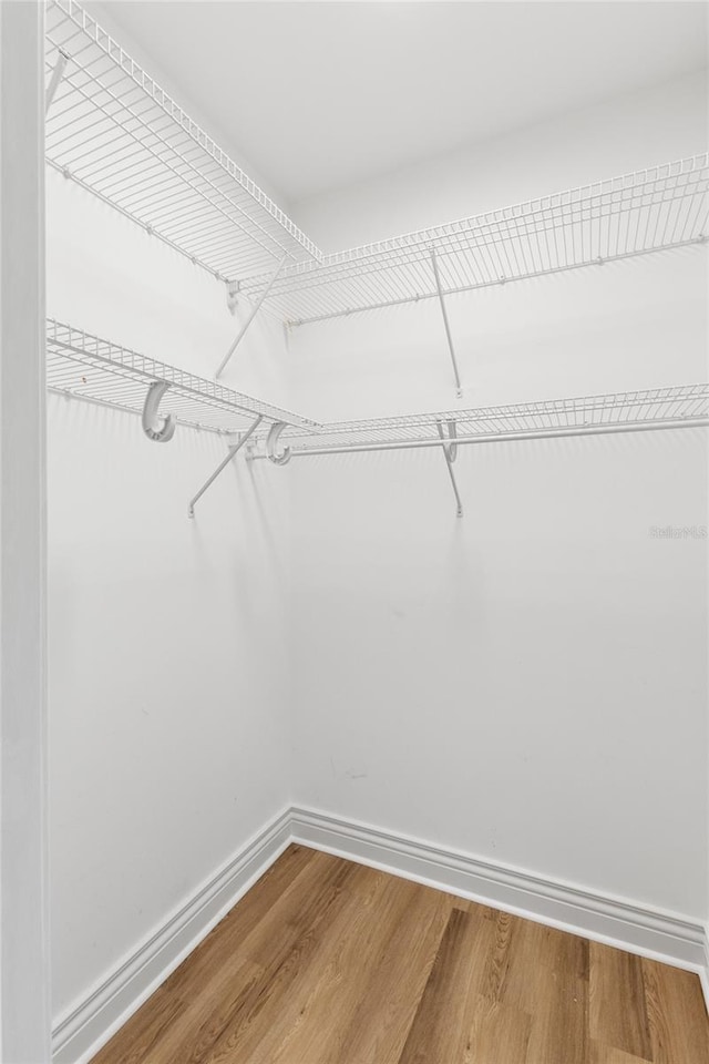 spacious closet featuring wood-type flooring