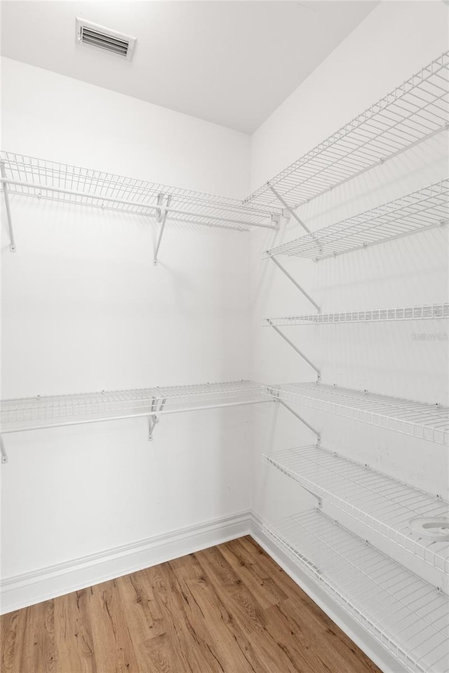 walk in closet featuring hardwood / wood-style floors