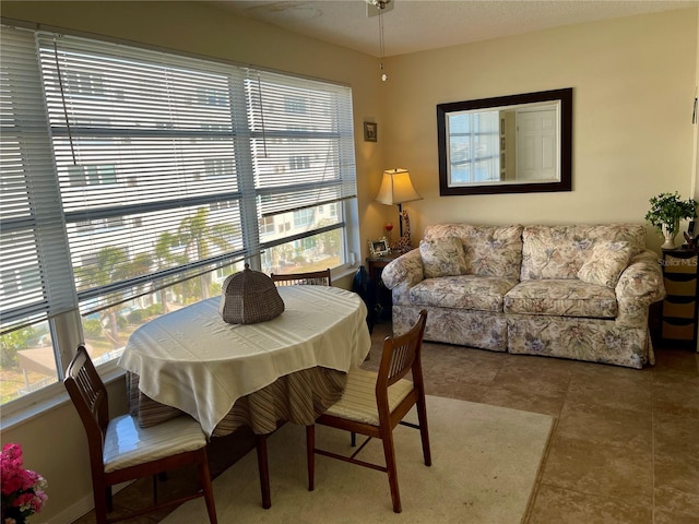 dining space with plenty of natural light