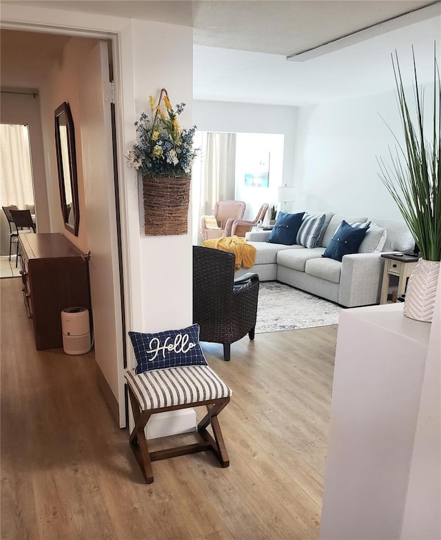 living room with hardwood / wood-style floors