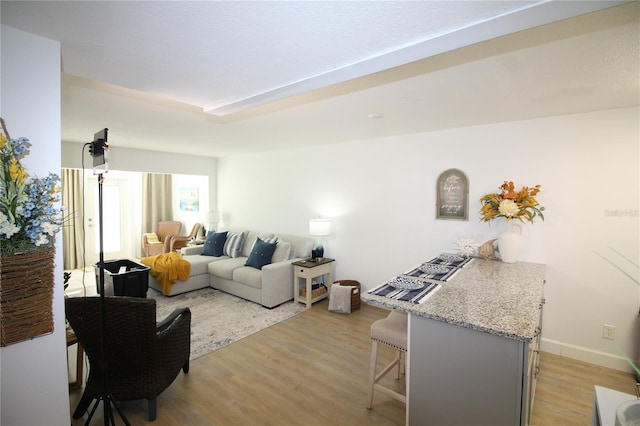 living room featuring light hardwood / wood-style flooring