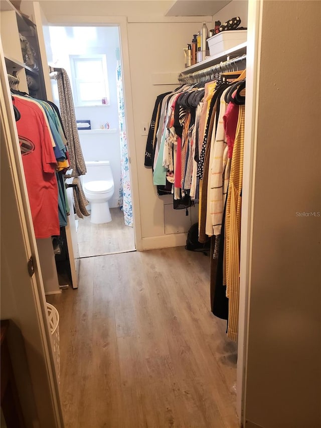 spacious closet featuring light wood-type flooring