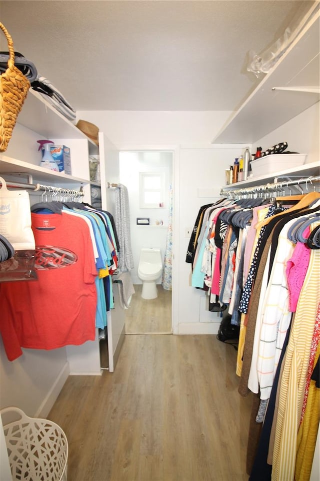 spacious closet with light hardwood / wood-style floors