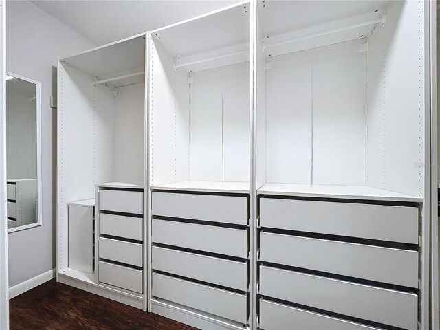 spacious closet with dark wood-type flooring