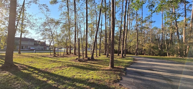 view of home's community with a yard