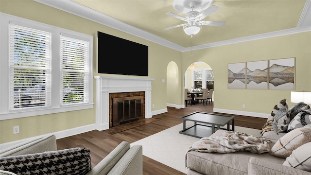 living room with ceiling fan, plenty of natural light, dark hardwood / wood-style floors, and ornamental molding