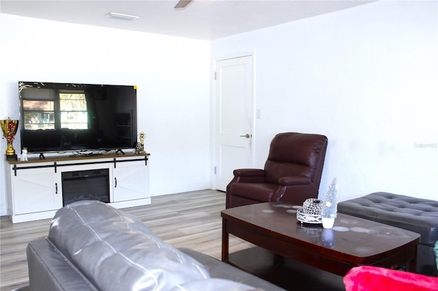 living room with wood-type flooring