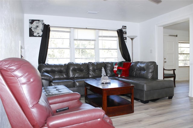 living room with light hardwood / wood-style floors and plenty of natural light