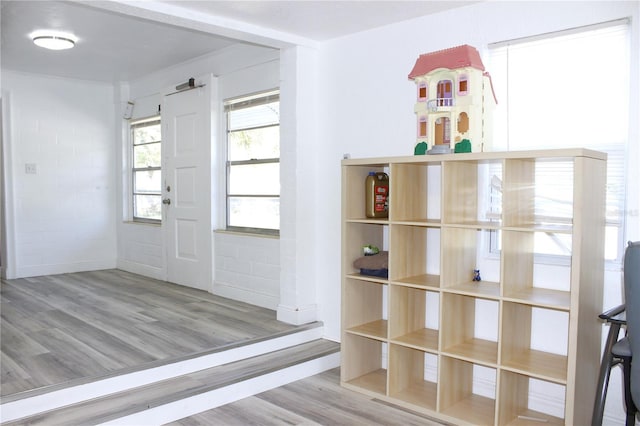 entryway with wood-type flooring