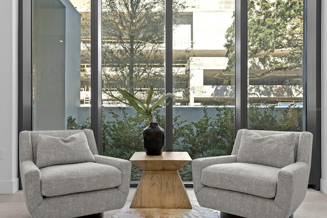 sitting room with plenty of natural light