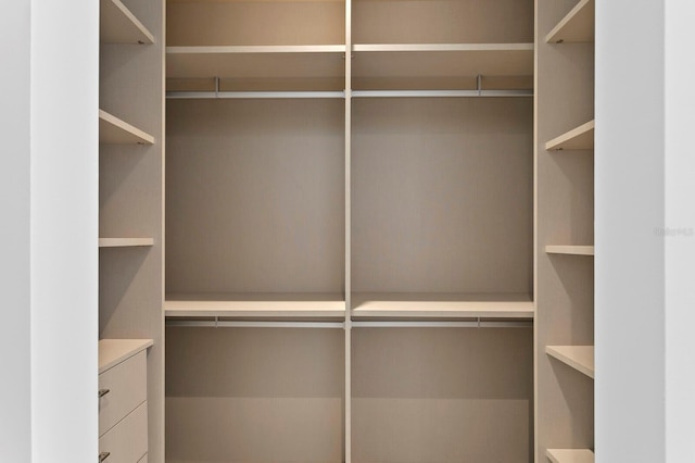 view of walk in closet