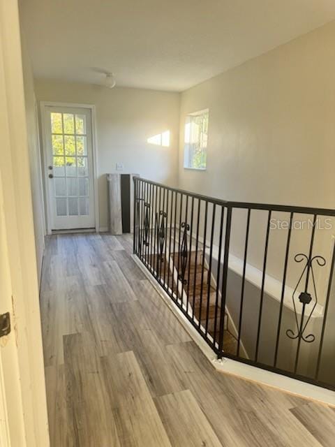4015 Woodacre Ln, Tampa, FL 33624 - hallway with wood finished floors, healthy amount of natural light, and an upstairs landing