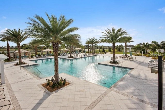 view of pool featuring a patio