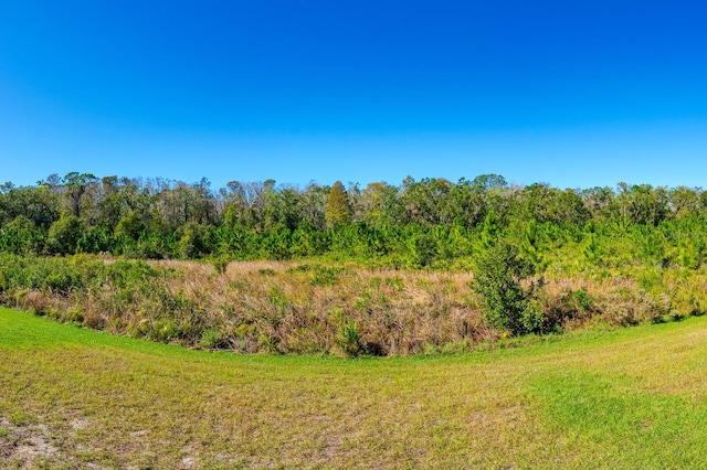 16819 Shell Bay Dr, Land O Lakes, FL 34638 - view of yard