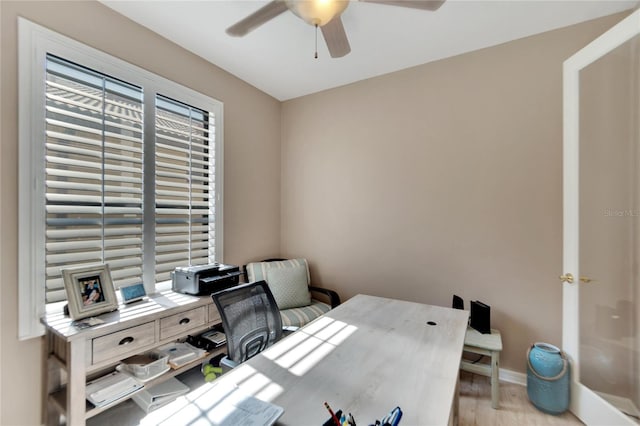 home office with ceiling fan and light hardwood / wood-style floors