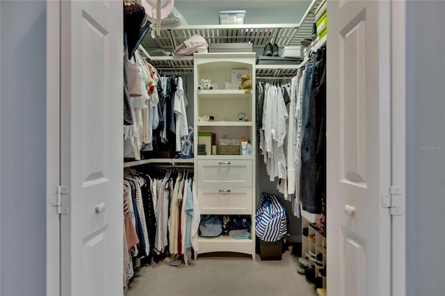 walk in closet featuring light colored carpet