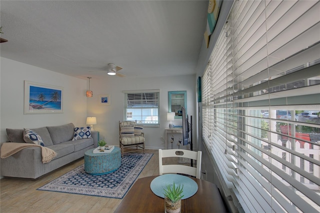 living room featuring ceiling fan and light wood-type flooring