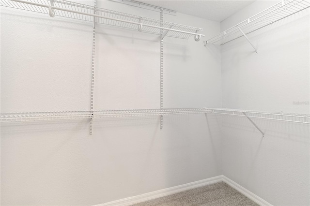 walk in closet featuring carpet