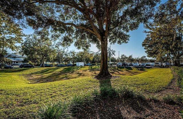 view of community with a yard