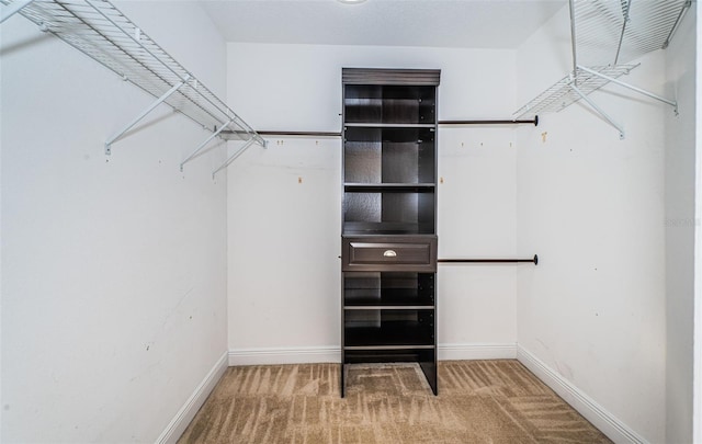 spacious closet featuring carpet flooring