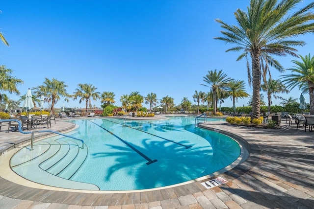 view of swimming pool featuring a patio area