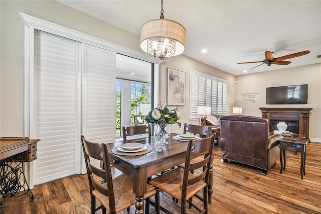 dining space with ceiling fan and wood-type flooring