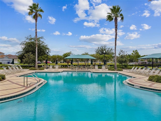 view of pool with a patio