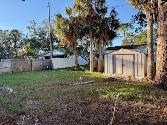 view of yard featuring a storage shed