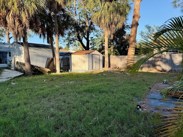 view of yard featuring a shed