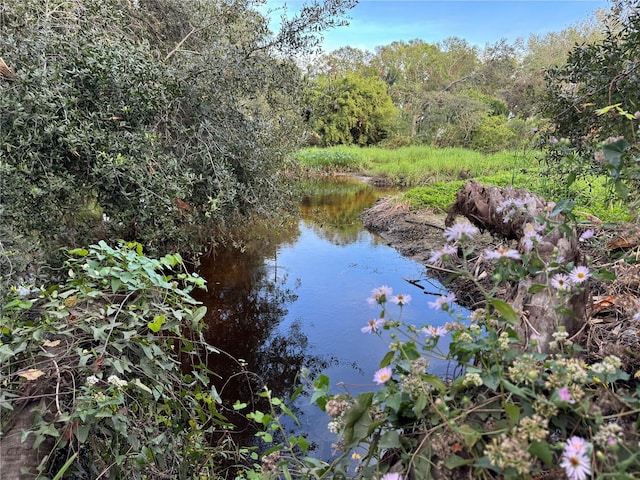 view of water feature