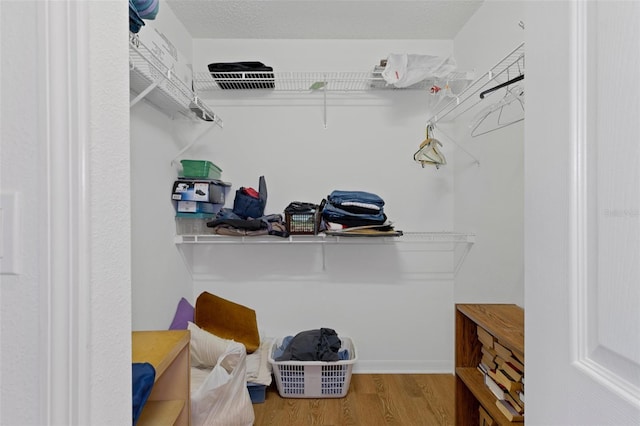 spacious closet featuring wood-type flooring