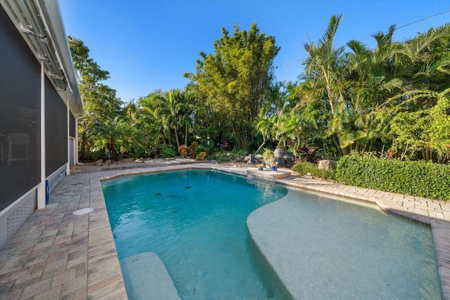 view of pool featuring a patio