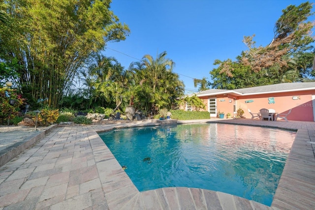 view of pool with a patio