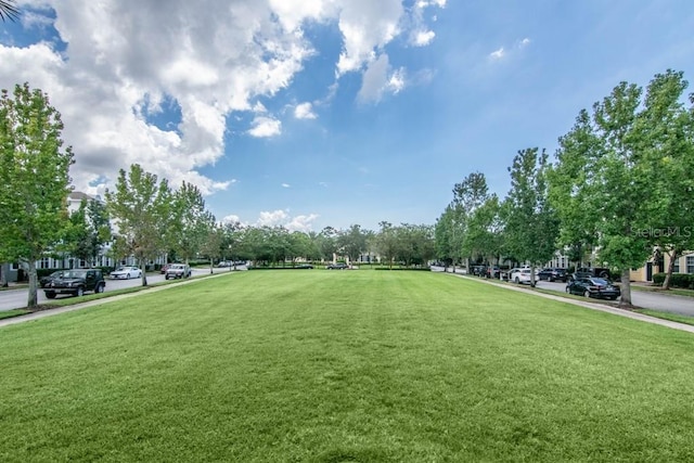 view of property's community with a yard