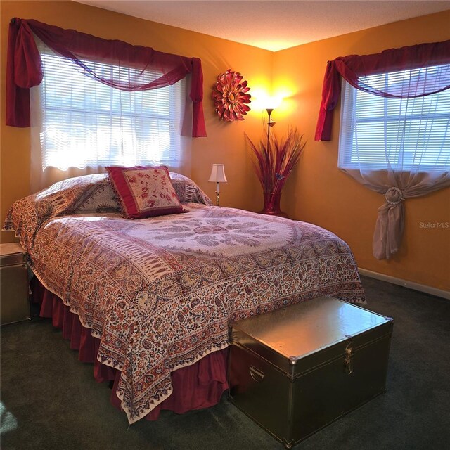 bedroom with dark colored carpet