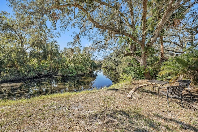 view of yard featuring a water view