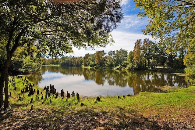 property view of water