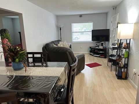 living room featuring light hardwood / wood-style flooring