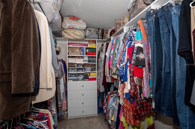 walk in closet with carpet flooring