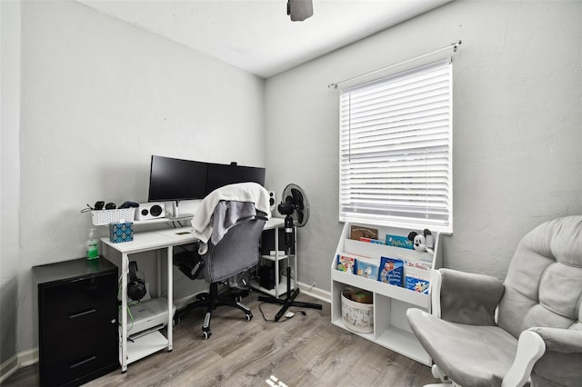 office space featuring ceiling fan and light wood-type flooring