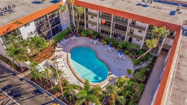 view of swimming pool featuring a patio