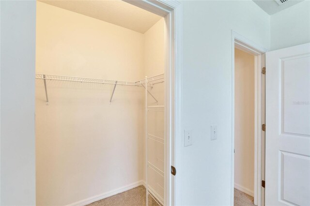 walk in closet with light carpet