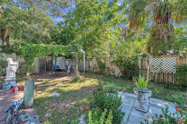 view of yard with a patio