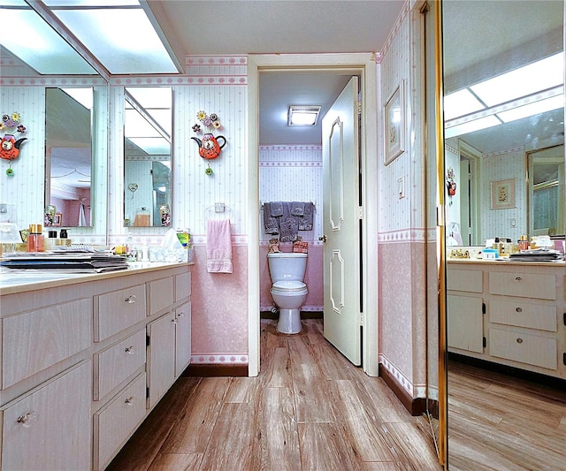 bathroom with vanity, hardwood / wood-style flooring, and toilet
